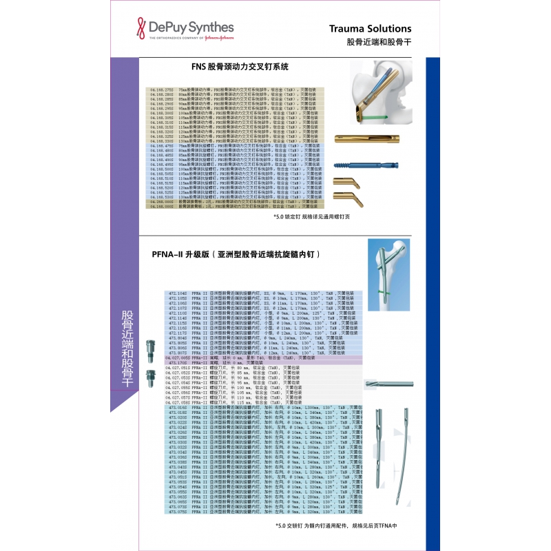 股骨近端和股骨干 2