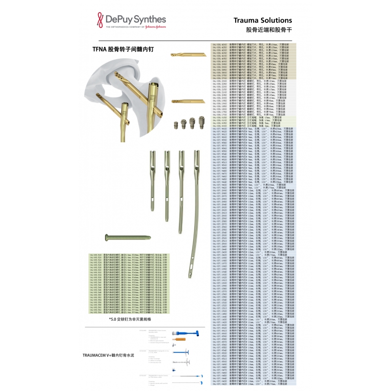 股骨近端和股骨干 3