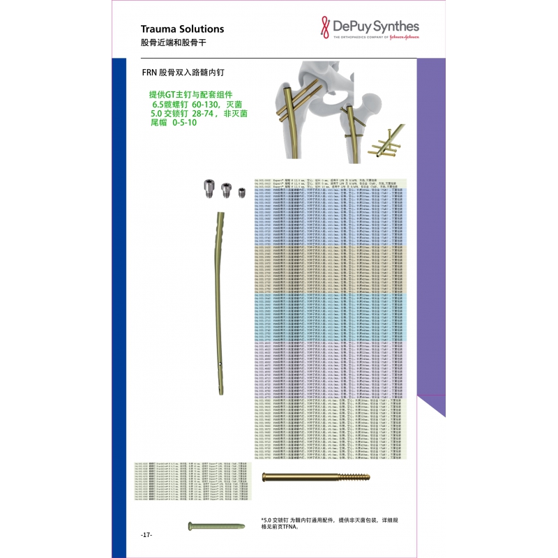 股骨近端和股骨干 4